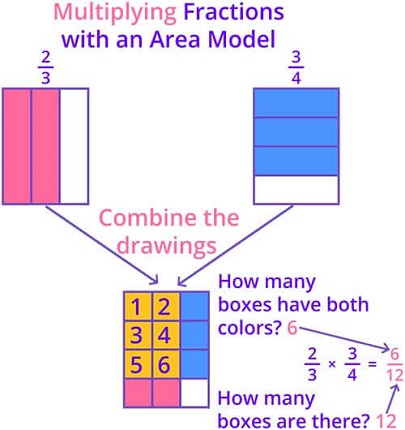 Multiplying two fractions using area model