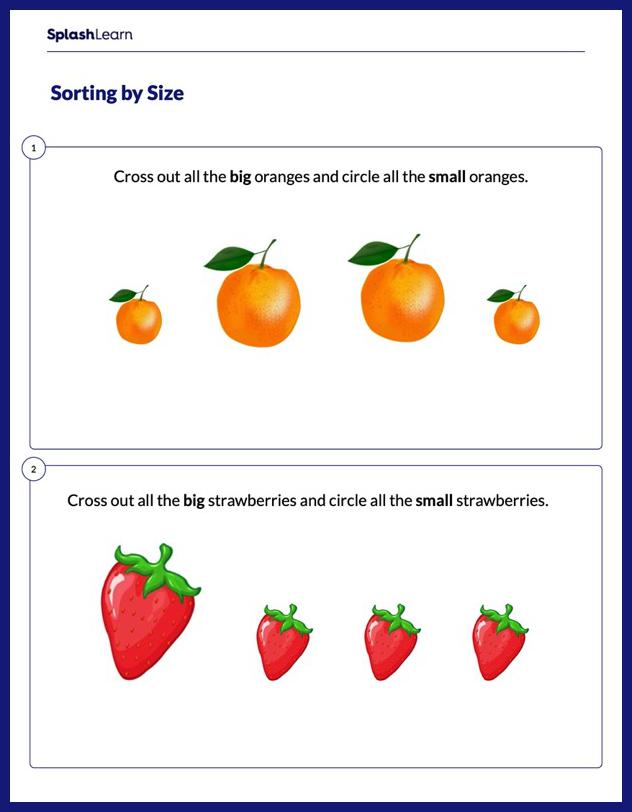 What Is Size Definition Facts Example