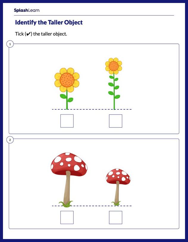 Which Object is Taller Worksheet